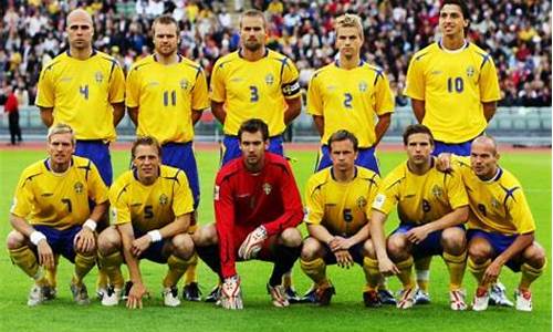 欧洲杯瑞典丹麦_欧洲杯预选赛丹麦vs瑞士
